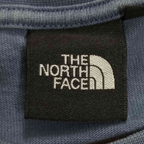 ザノースフェイス THE NORTH FACE S/S HEAVY COTTON TEE ショートスリーブヘビーコットンティー メンズ import:M